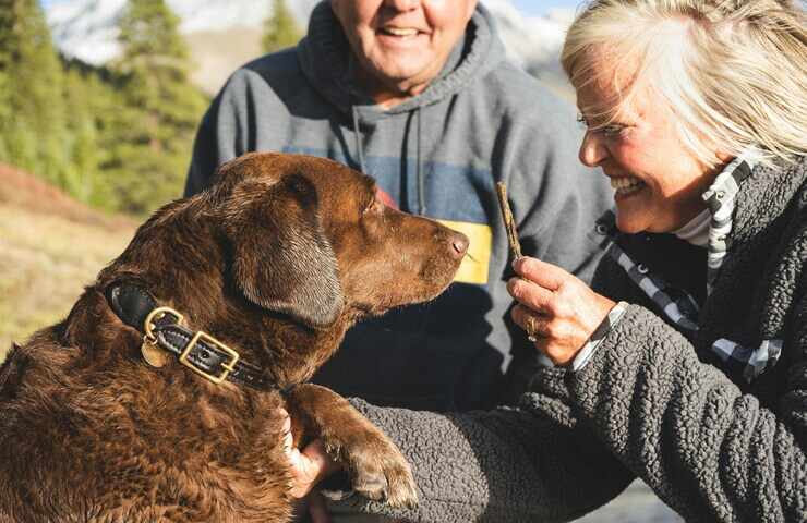 coppia di anziani giocano con un cane