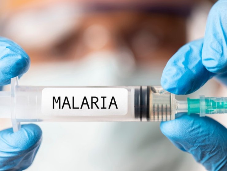 Malaria in Italia